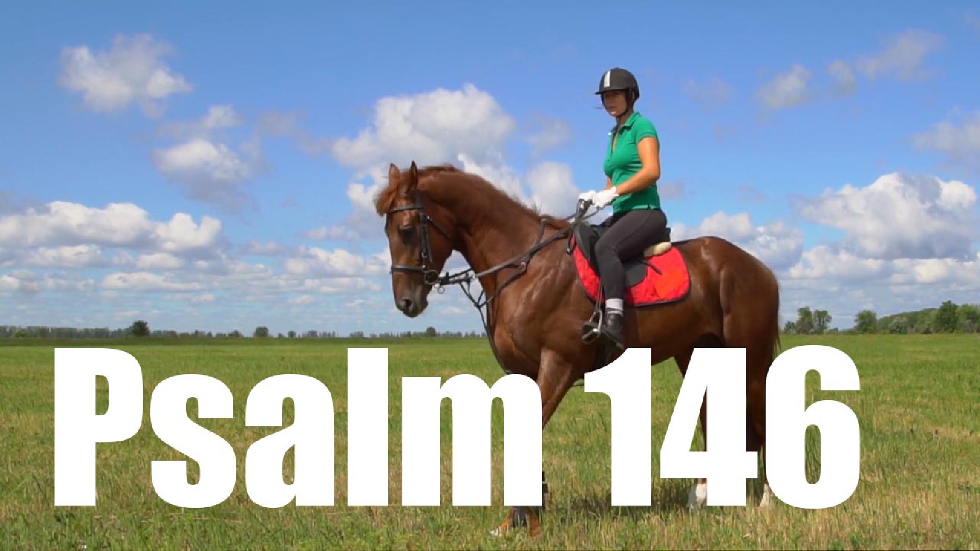 Psalm 146