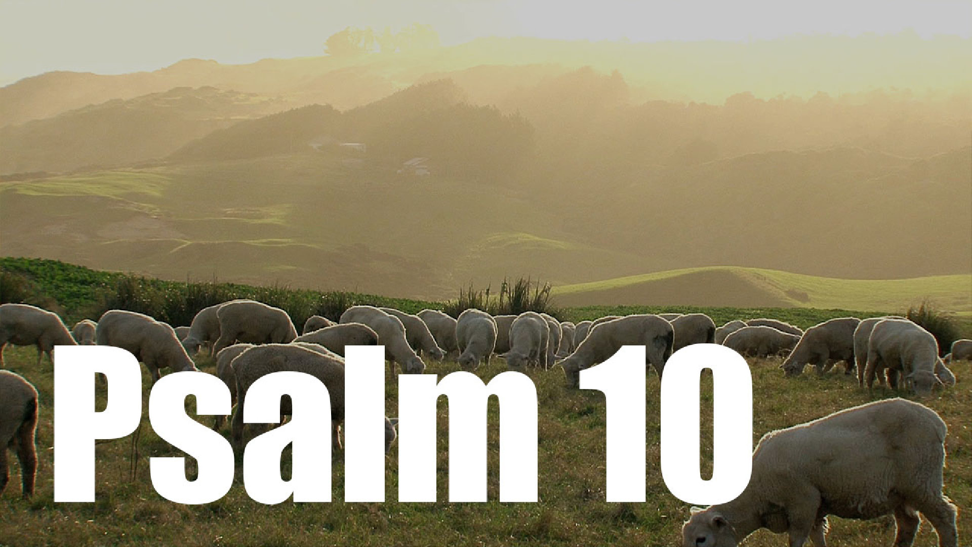 Psalm 10