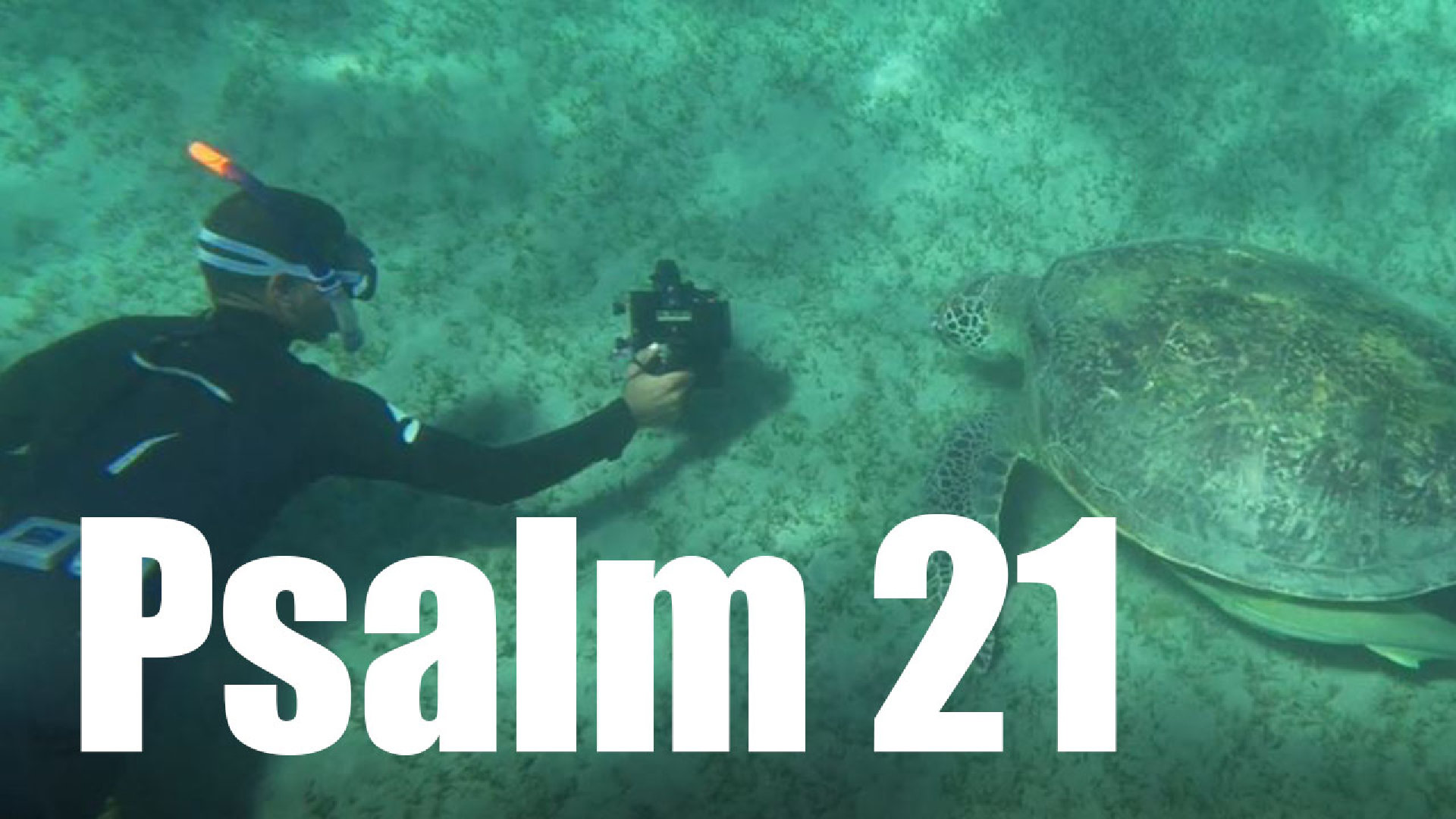 Psalm 21