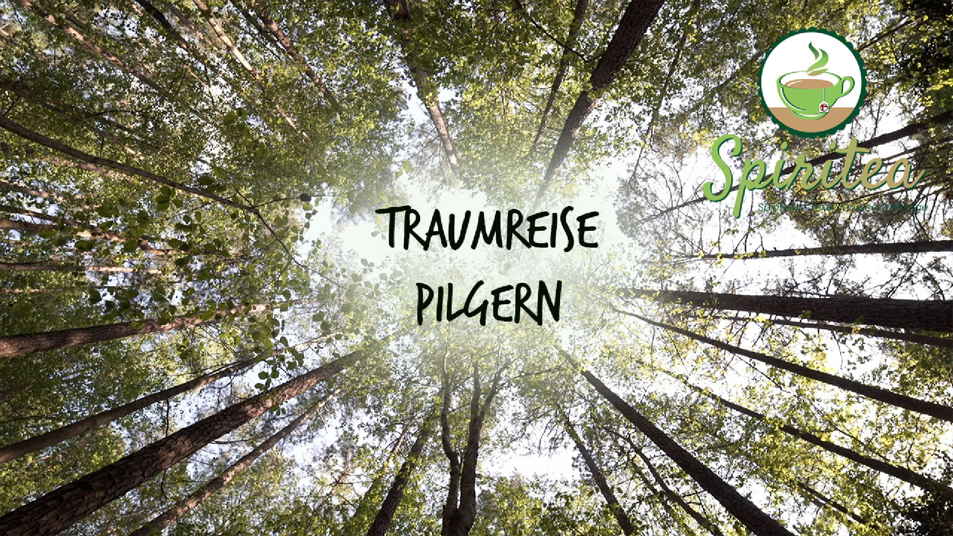 Pilgern auf dem Jakobsweg: Eine Traumreise
