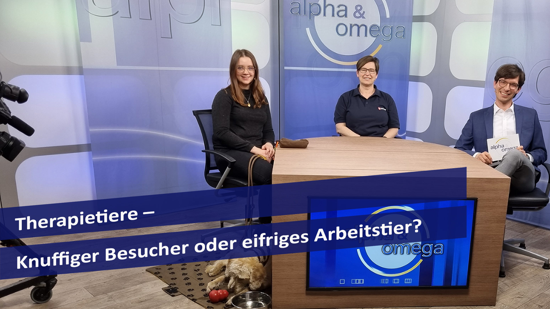 Alpha & Omega: Therapietiere – Knuffiger Besucher oder eifriges Arbeitstier?