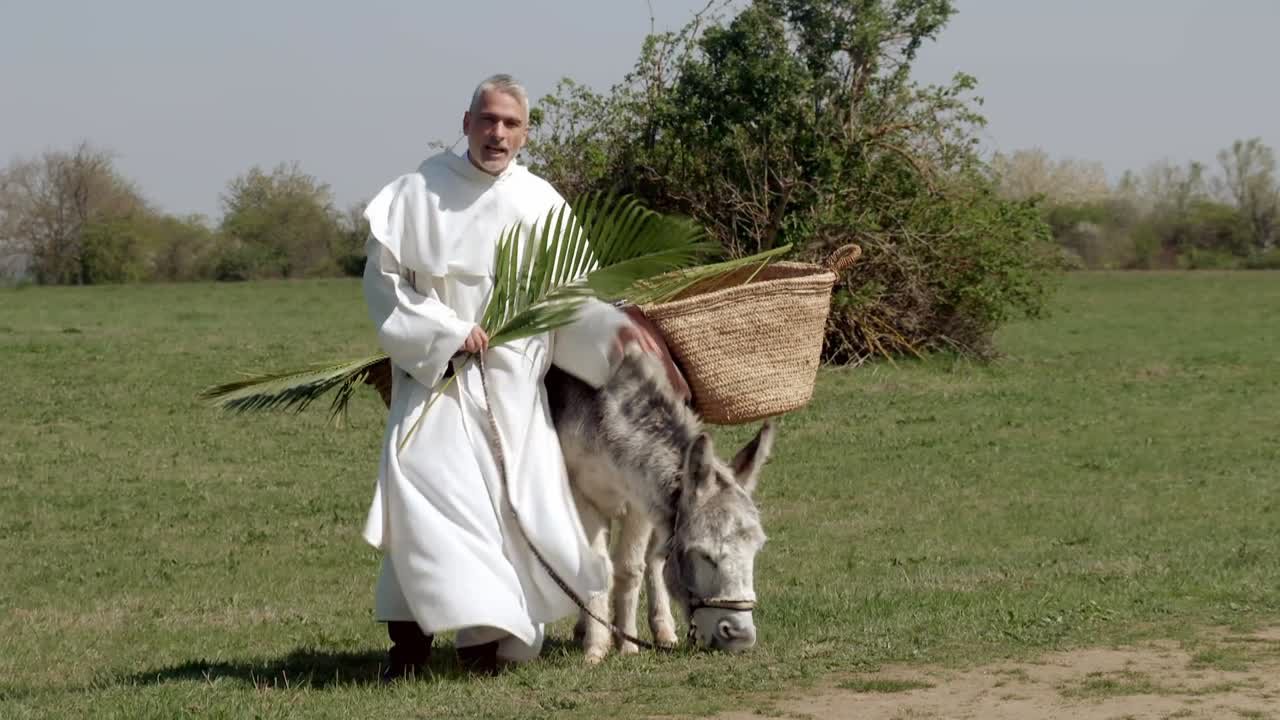 So Gesehen - Palmsonntag