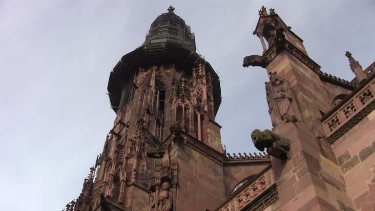 Fangnetze fürs Münster