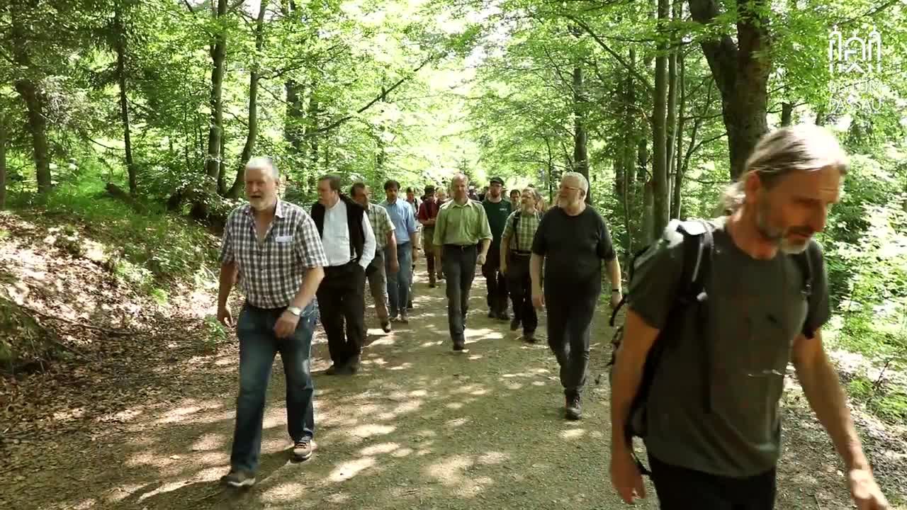 Kirche im Wald