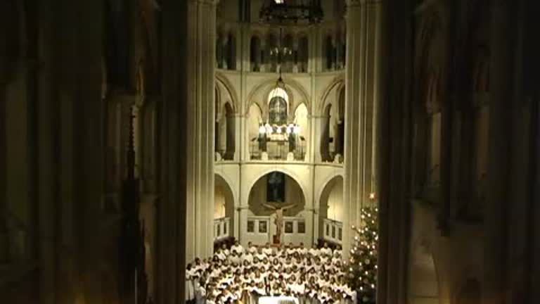 Bistum Limburg: "Domkonzert in Limburg zu Weihnachten 2008"