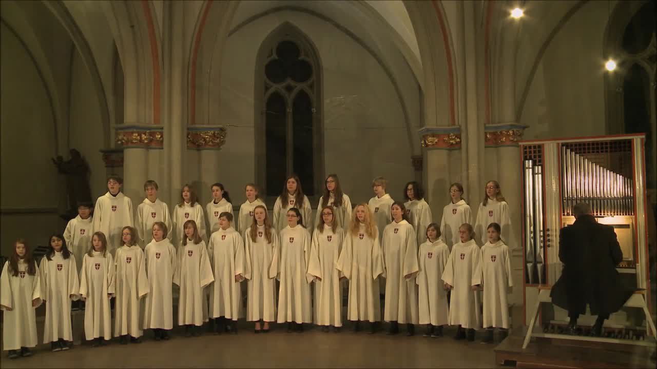 Gotteslobvideo (GL 258): Lobpreiset all zu dieser Zeit
