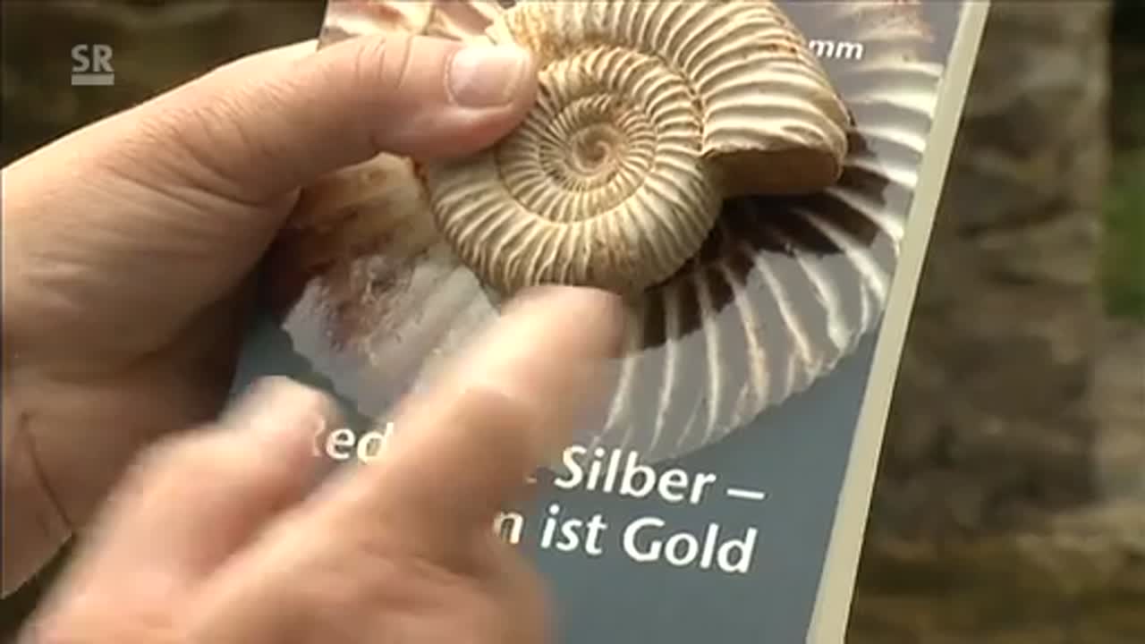 Aus christlicher Sicht: Alltagslärm