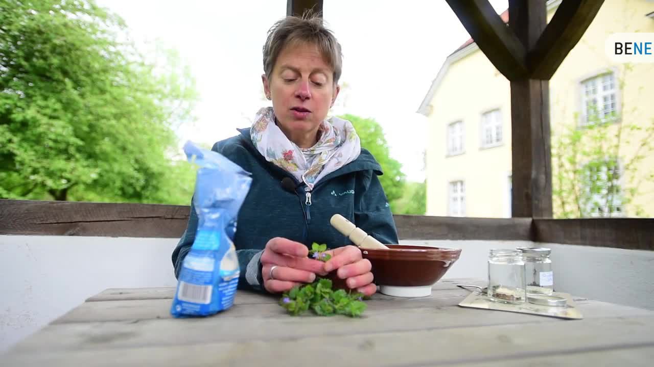 Benissimo: Gundermannsalz selber machen 