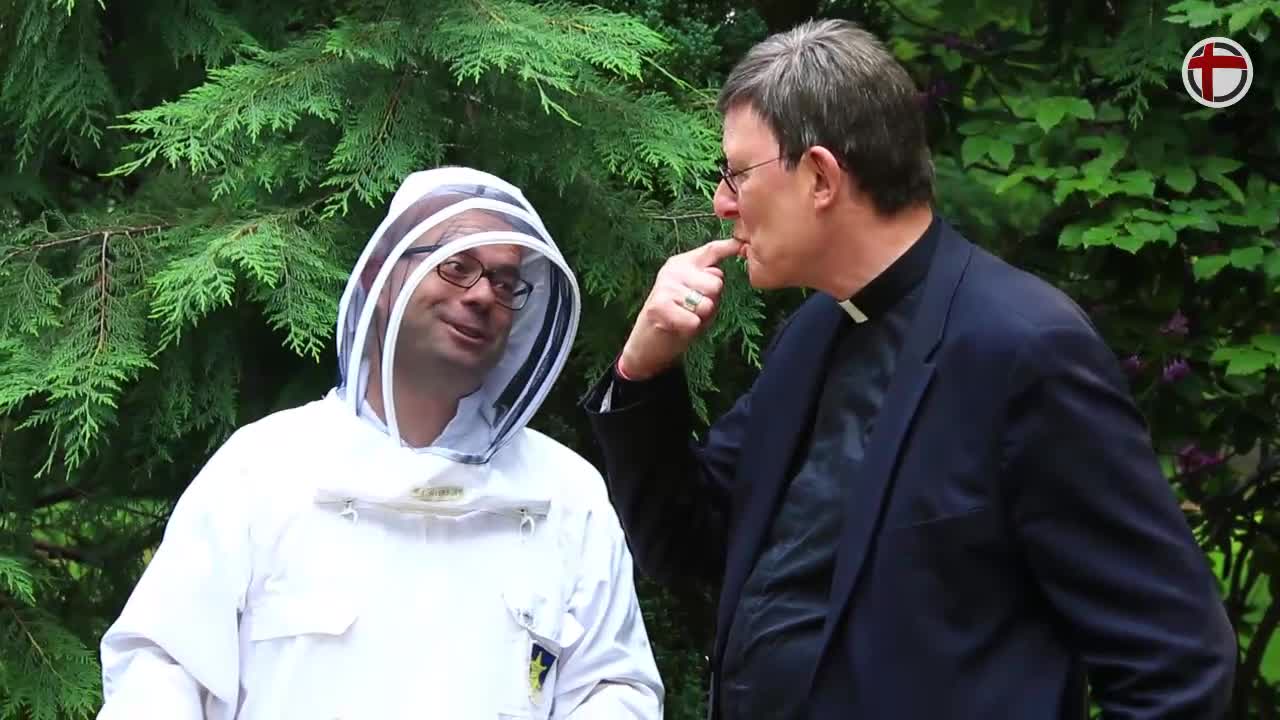 Die frommen Bienen des Kardinals