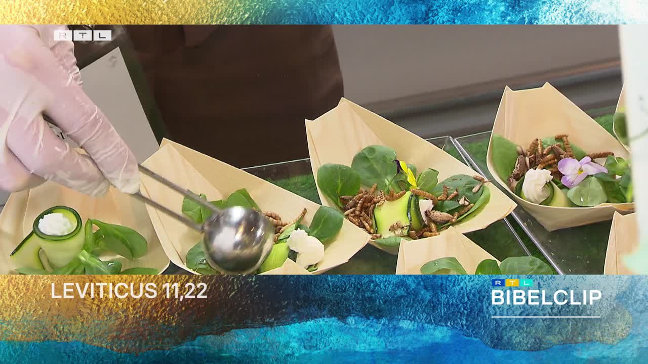 RTL-Bibelclip - Insekten auf dem Teller?