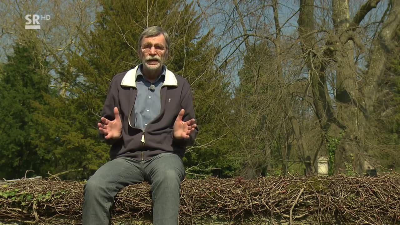 Aus christlicher Sicht - Grenzen