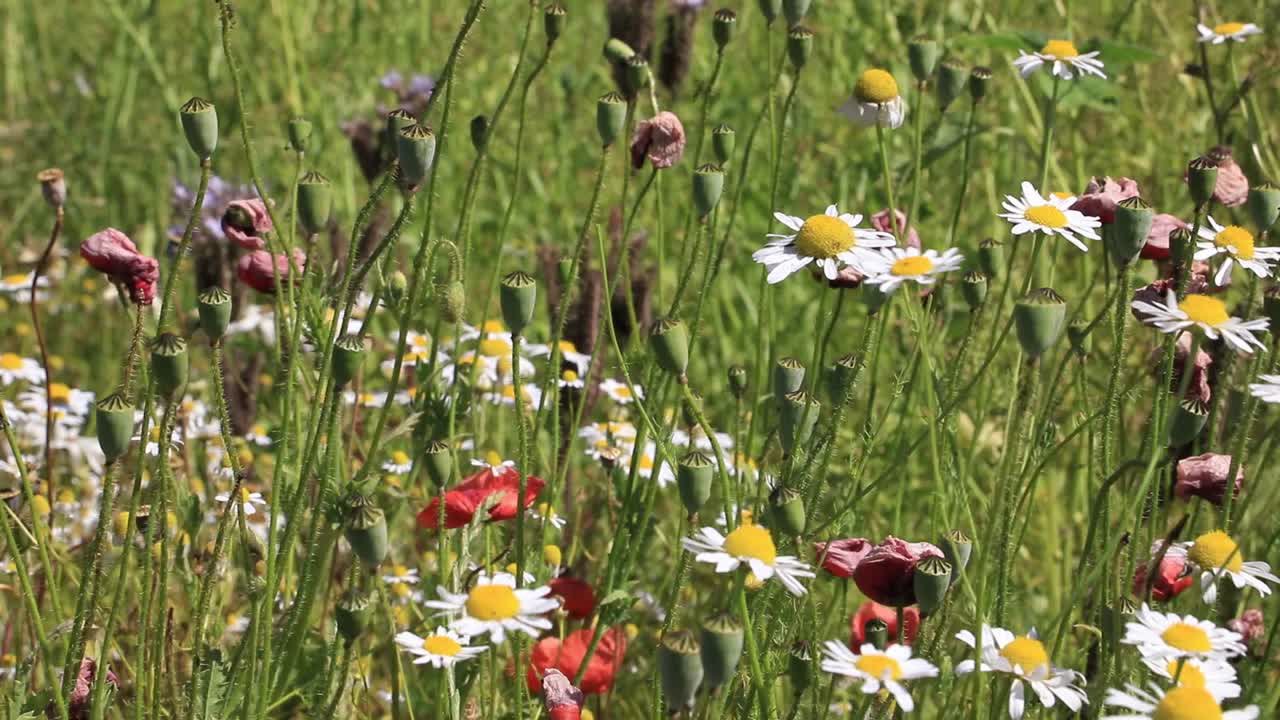 Der diözesane Schöpfungstag 2019 im Bistum Eichstätt