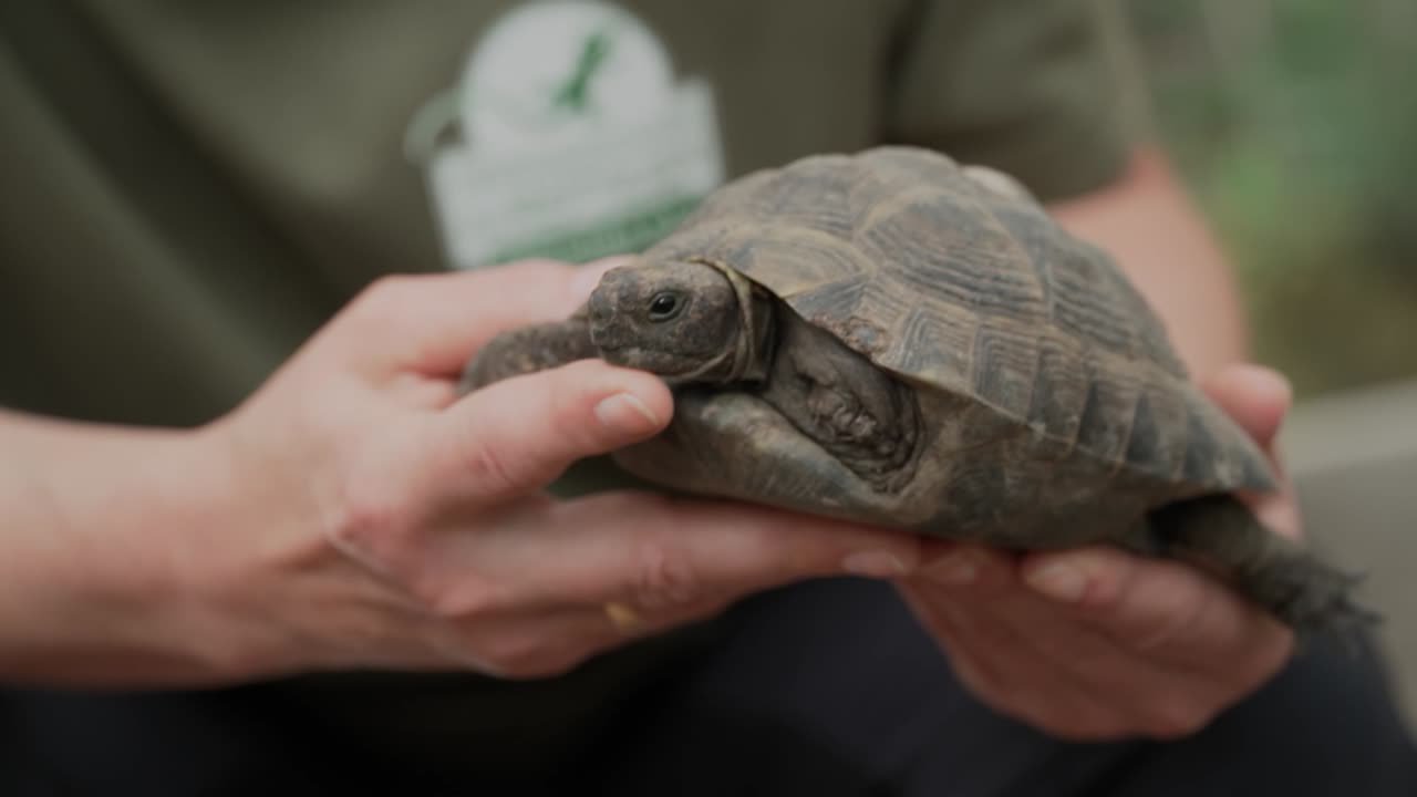 Ehrensache Schildkrötenrefugium Chelonia