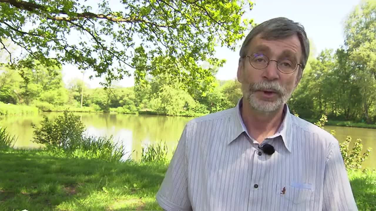 Aus christlicher Sicht - Bündnis mit der Natur