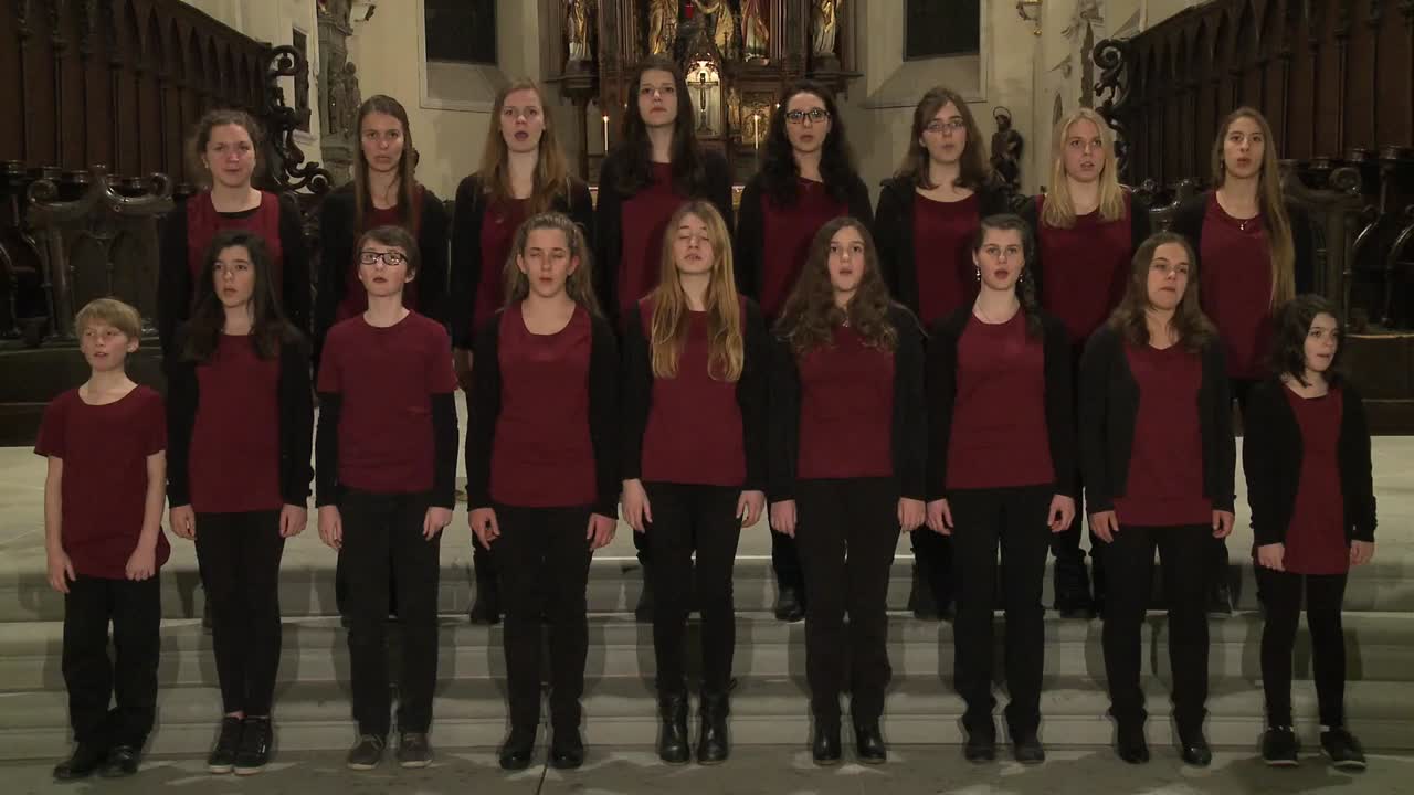 Gotteslobvideo (GL 413): Ehre, Ehre sei Gott in der Höhe