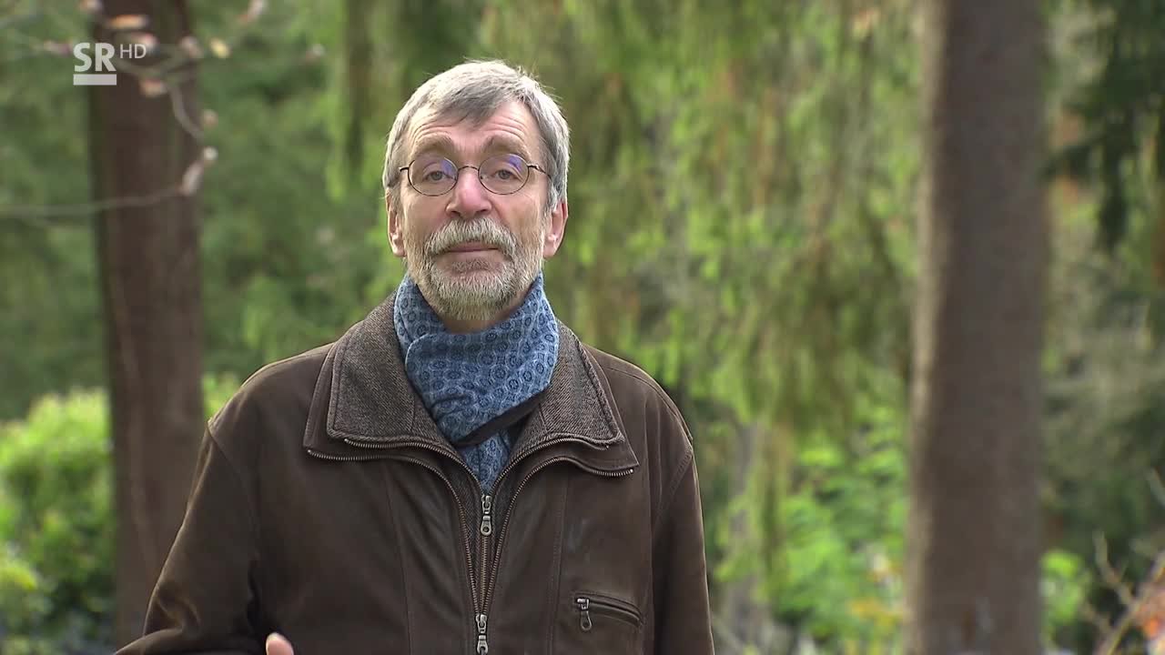 Aus christlicher Sicht - Allerseelen