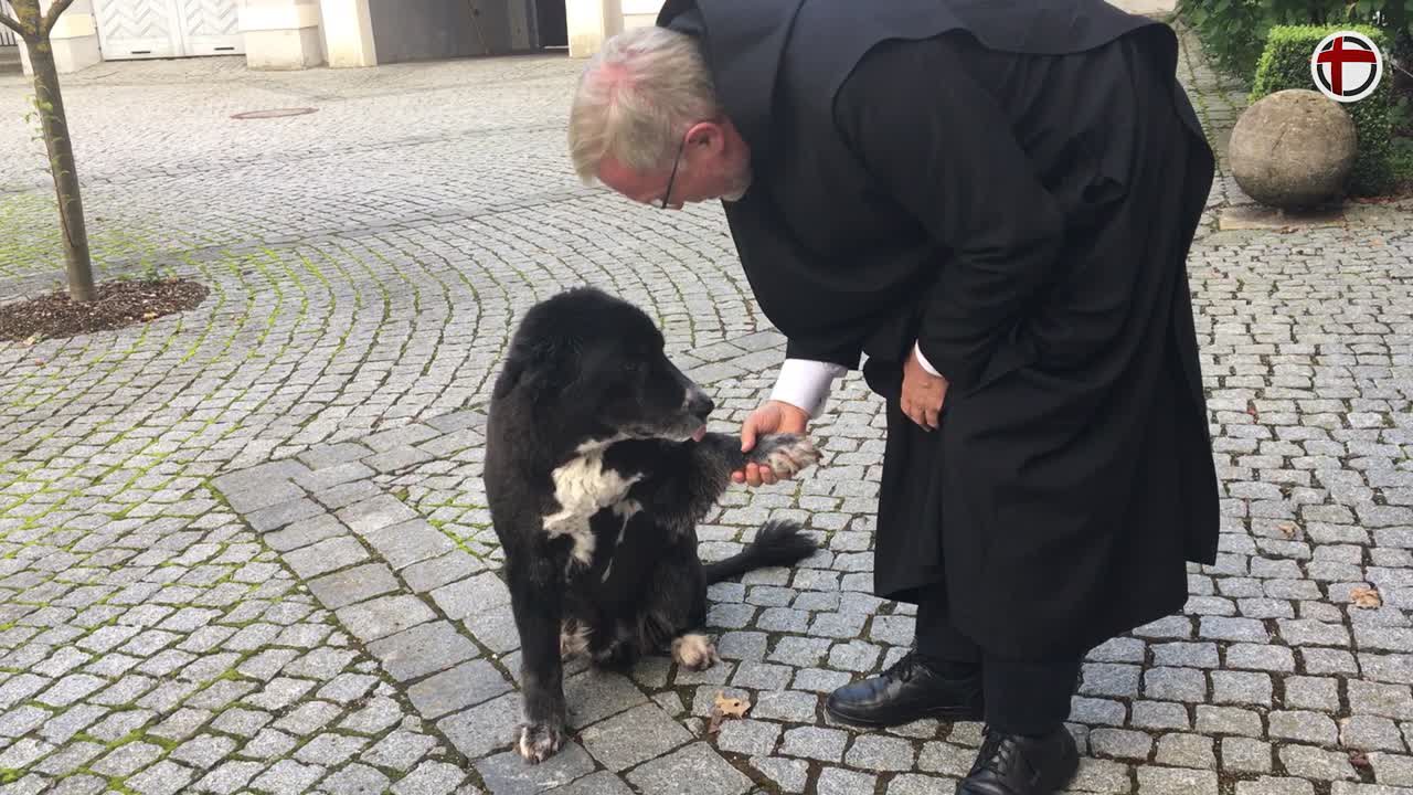 Bischof Gregor Maria Hanke und sein Hund