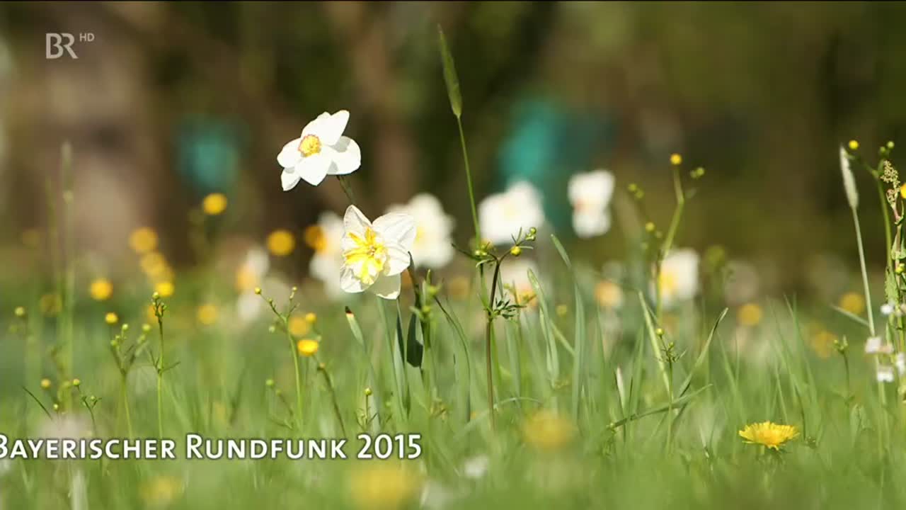 Zeit und Ewigkeit: Gedanken zum 1. Mai 2015