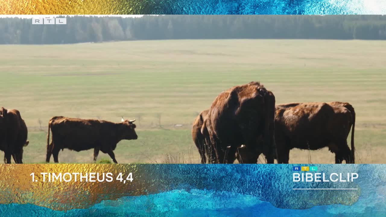 RTL-Bibelclip - Neue Umfrage zum Tierwohl