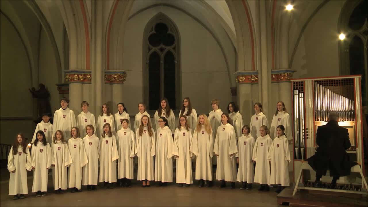 Gotteslobvideo (GL 551): Nun singt ein neues Lied dem Herren