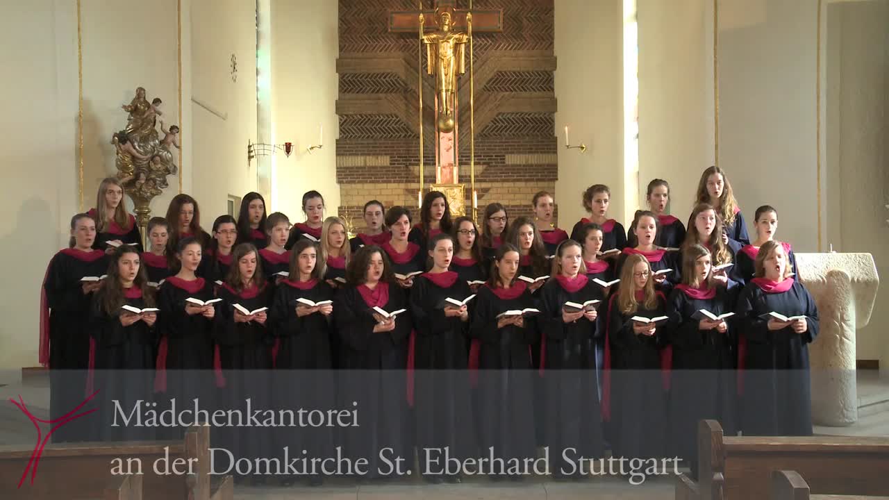 Gotteslobvideo (GL 396): Lobt froh den Herren
