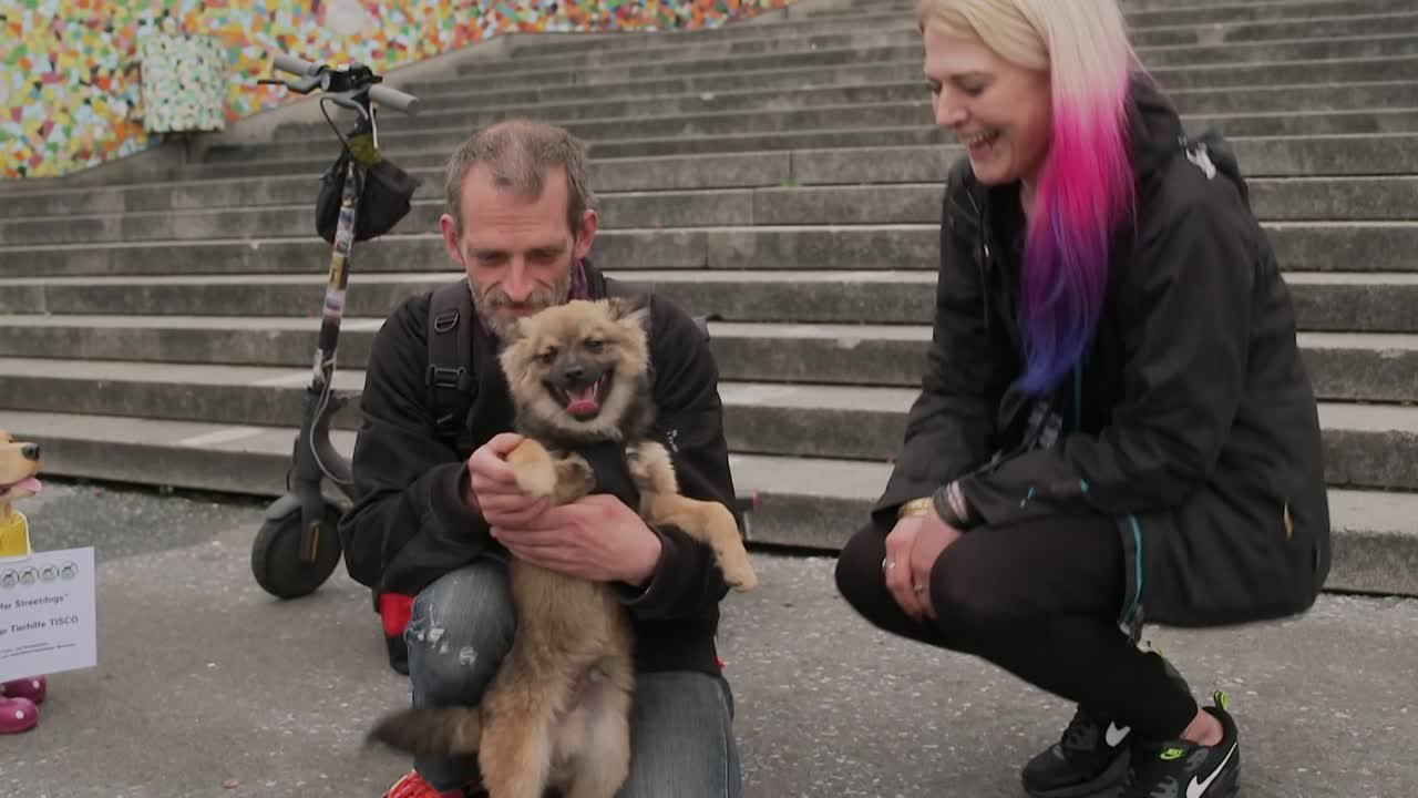 Ehrensache "Underdog"
