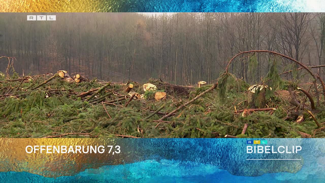 RTL-Bibelclip - Rettet die Wälder