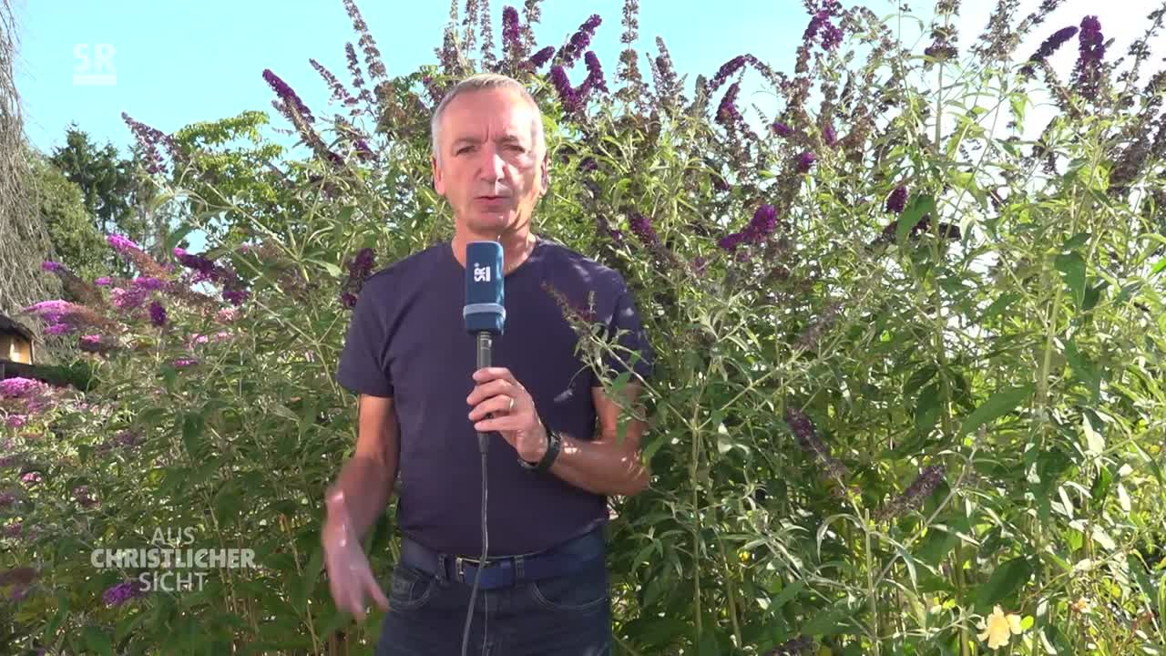 Aus christlicher Sicht