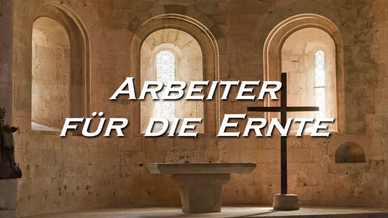 Arbeiter für die Ernte - Tagessegen vom 9. Juli 2013