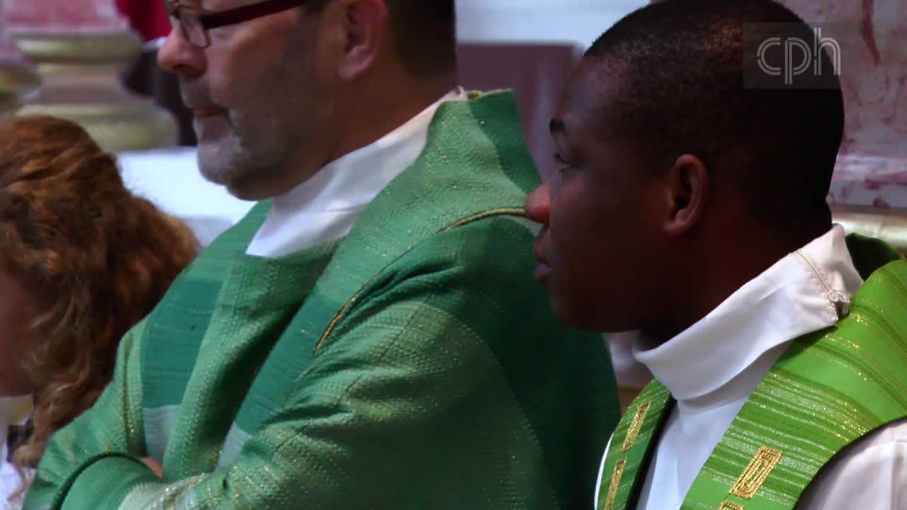 Senegalsonntag und 65. Geburstag von Erzbischof Ludwig Schick