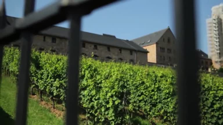 So gesehen - Kloster auf Zeit