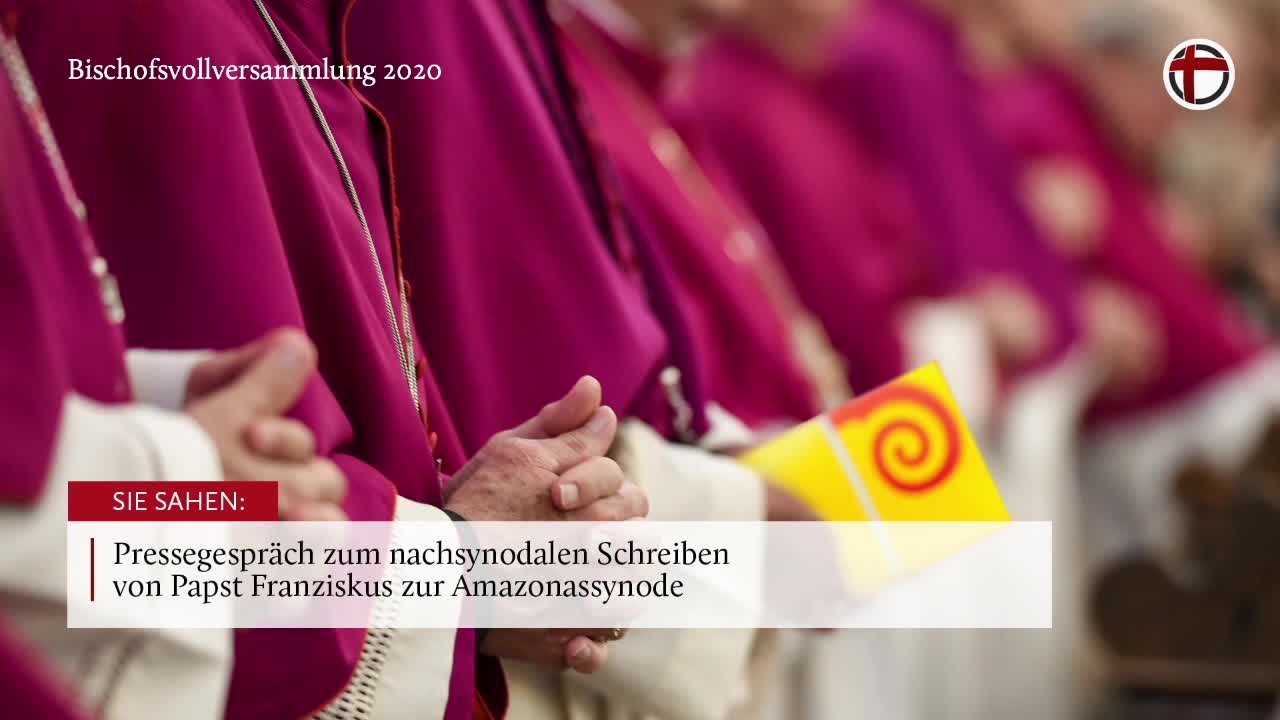 Pressegespräch zum nachsynodalen Schreiben von Papst Franziskus zur Amazonassynode