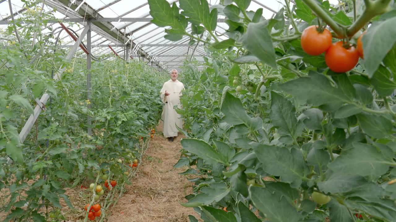 So Gesehen - Urban Farming
