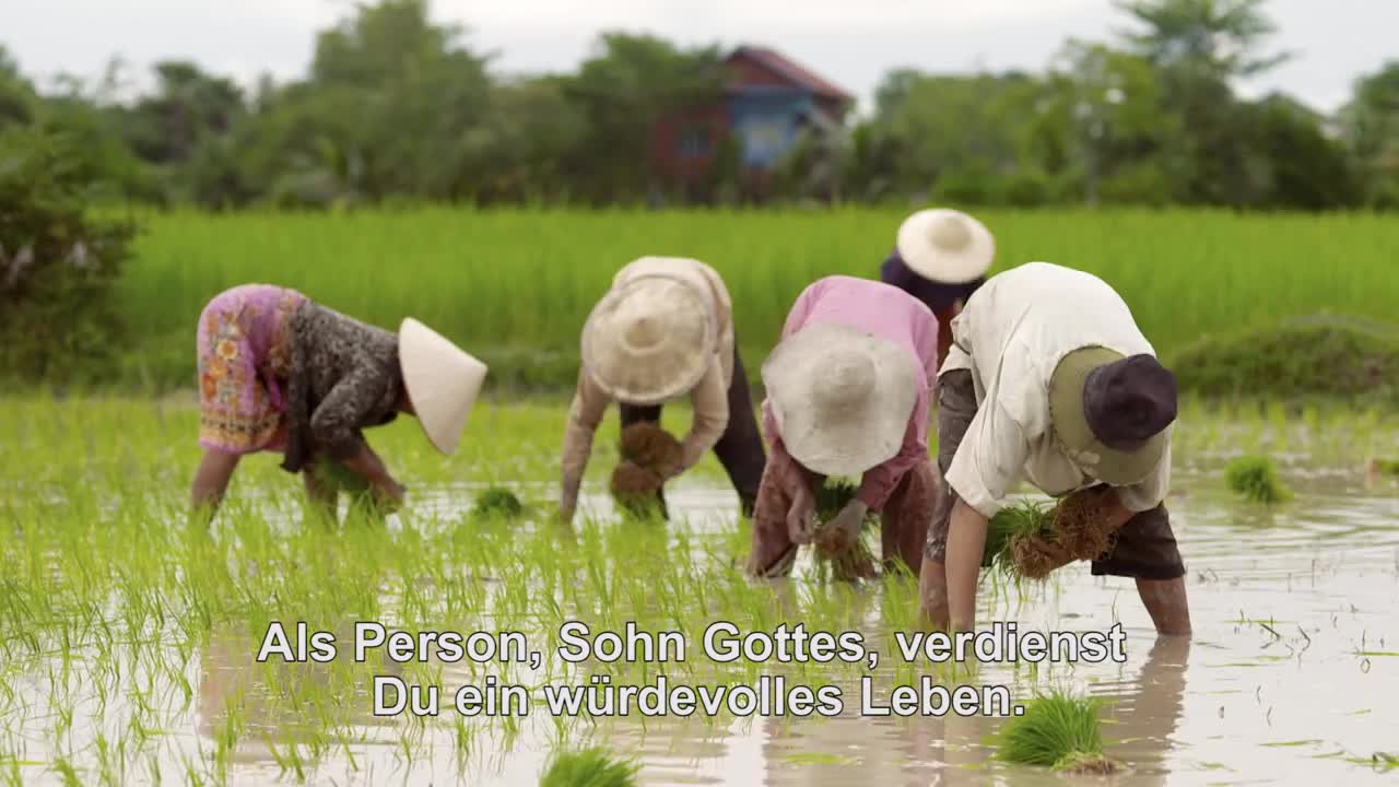 Videobotschaft des Papstes für April