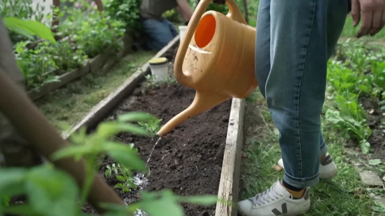 Ehrensache "Garten AG - Luther Lab"