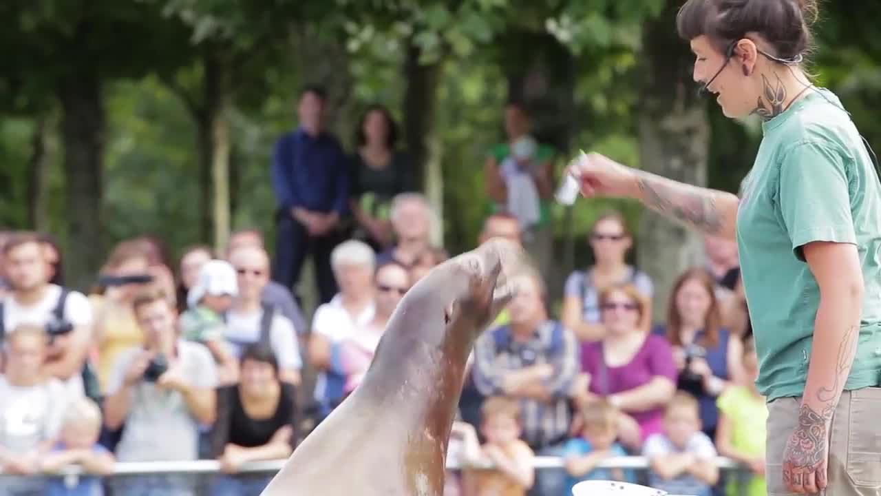 Mit der Bibel in den Zoo