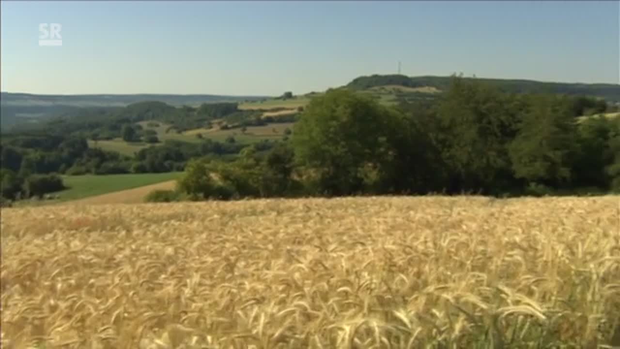 Aus christlicher Sicht: Umweltenzyklika