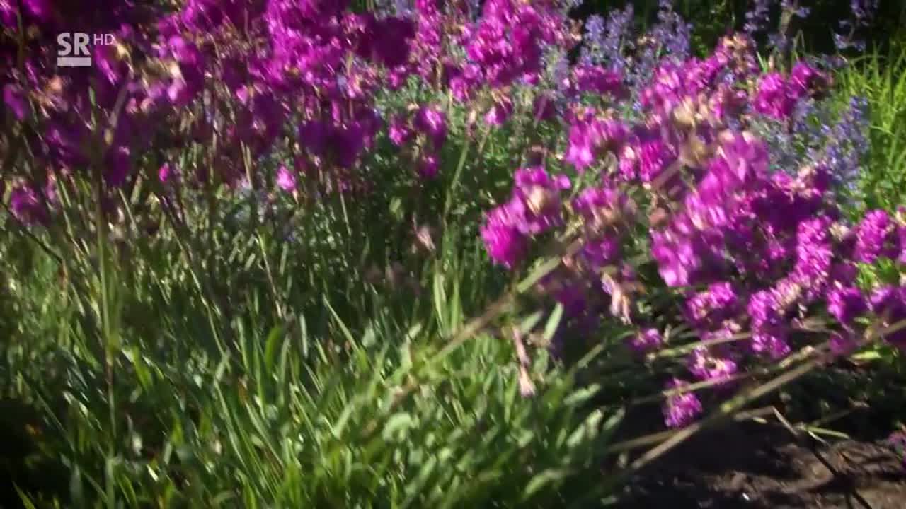 Aus christlicher Sicht - Leben