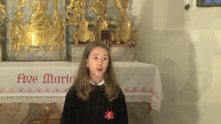 Gotteslobvideo (GL 461): Mir nach, spricht Christus, unser Held