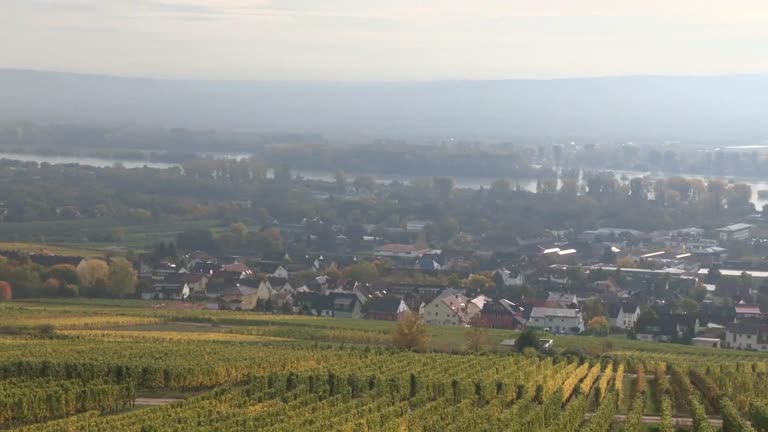 Hildegard von Bingen - Eine Spurensuche